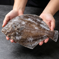 Frozen Halibut Body